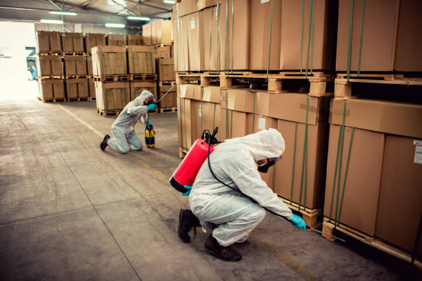 Best Bed Bug Extermination  in Ellsworth, ME