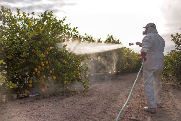 Best Emergency Pest Control  in Ellsworth, ME