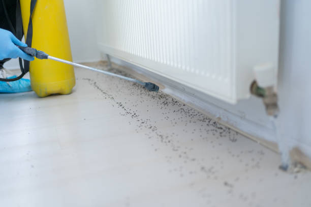 Best Pest Removal Services  in Ellsworth, ME